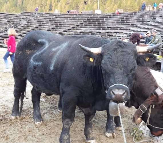 La ferme